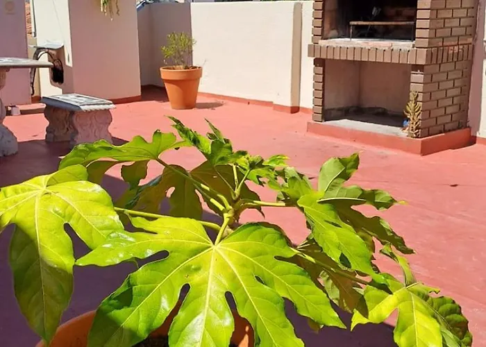 Playa Grande La Mejor Zona De Mdp 3 Amb, Con Terraza Y Parrilla